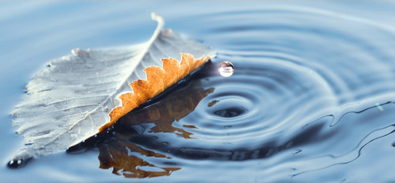 Sterbefall in Oberhausen, Bottrop, Dinslaken und Umgebung